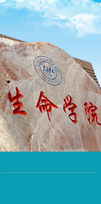 清吉清楓官網(wǎng)